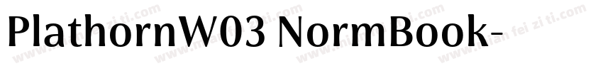 PlathornW03 NormBook字体转换
